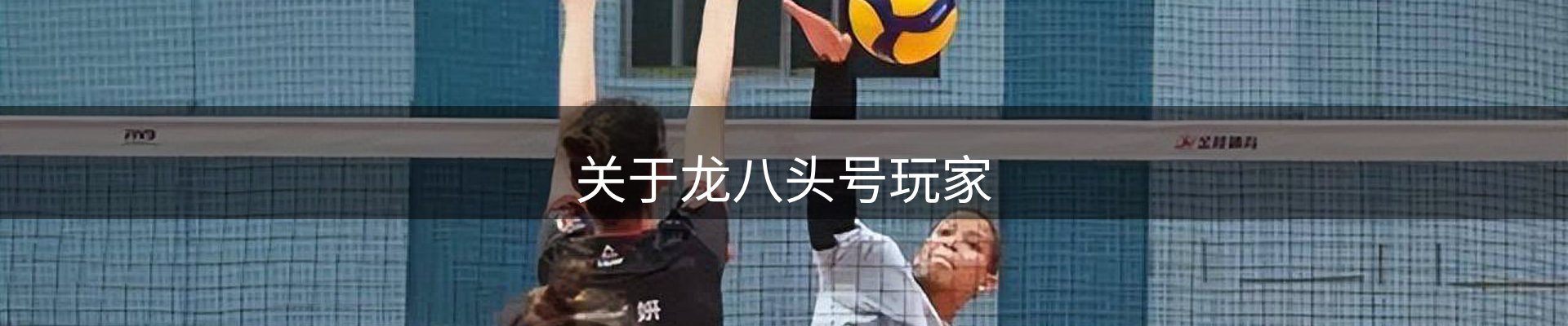 关于龙八头号玩家